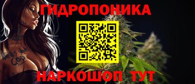PSILOCYBIN Аша