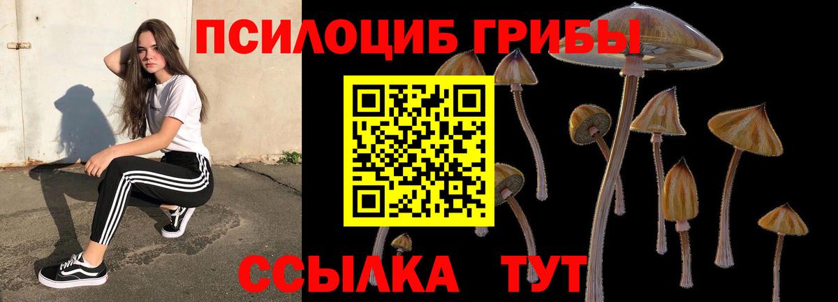 Псилоцибиновые грибы Cubensis  Вход с VPN  Галлюциногенные грибы ЛСД  Соль-Илецк 